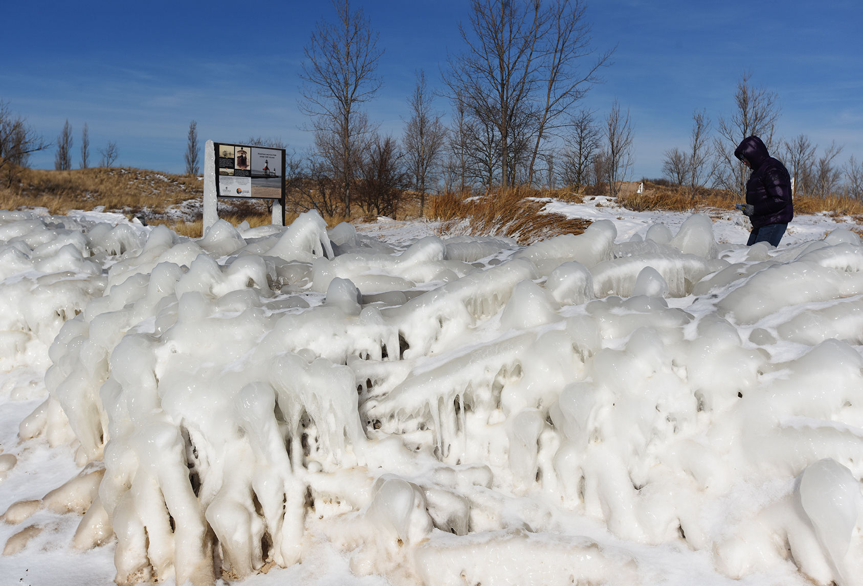 Frozen in nature